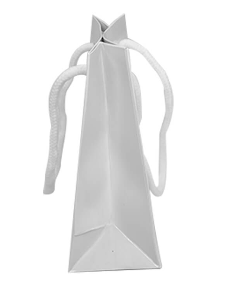 A6 Full Print Gift Bag - Pixelwave